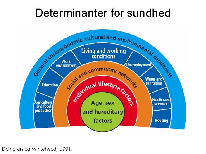 Determinanter for sundhed Dahlgren og Whitehead, 1991. 