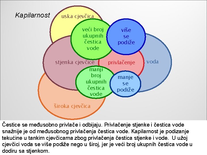 Kapilarnost uska cjevčica veći broj ukupnih čestica vode više se podiže stjenka cjevčice privlačenje