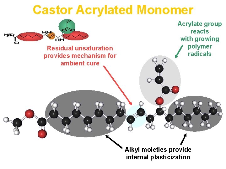 Castor Acrylated Monomer Residual unsaturation provides mechanism for ambient cure Acrylate group reacts with