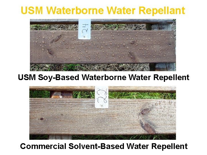 USM Waterborne Water Repellant USM Soy-Based Waterborne Water Repellent Commercial Solvent-Based Water Repellent 