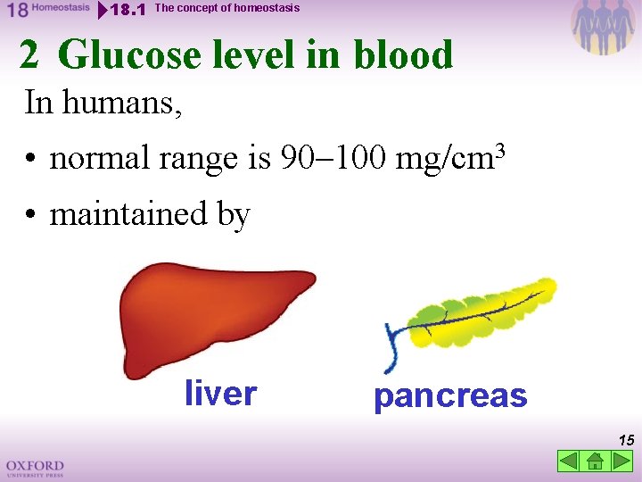 18. 1 The concept of homeostasis 2 Glucose level in blood In humans, •