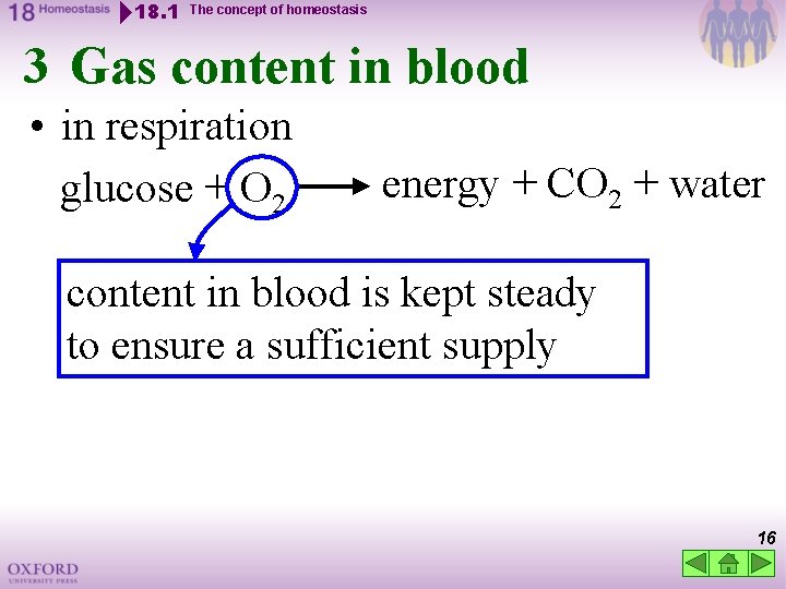 18. 1 The concept of homeostasis 3 Gas content in blood • in respiration