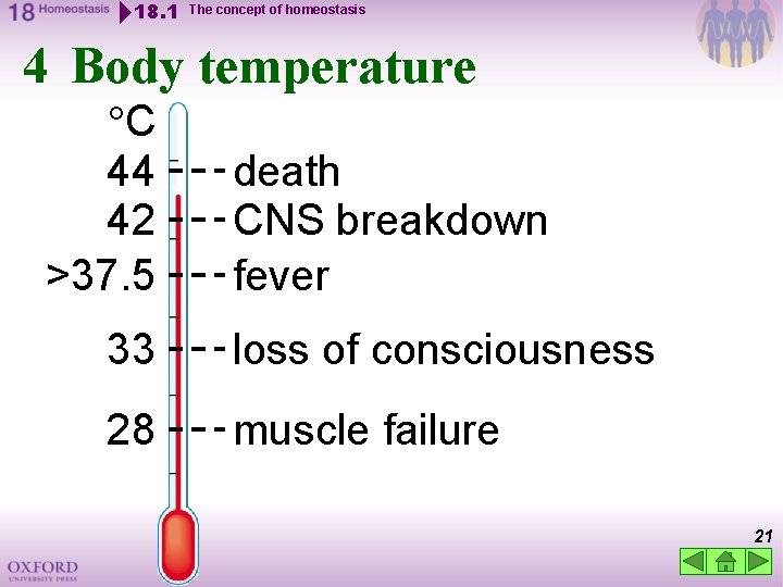 18. 1 The concept of homeostasis 4 Body temperature C 44 42 >37. 5