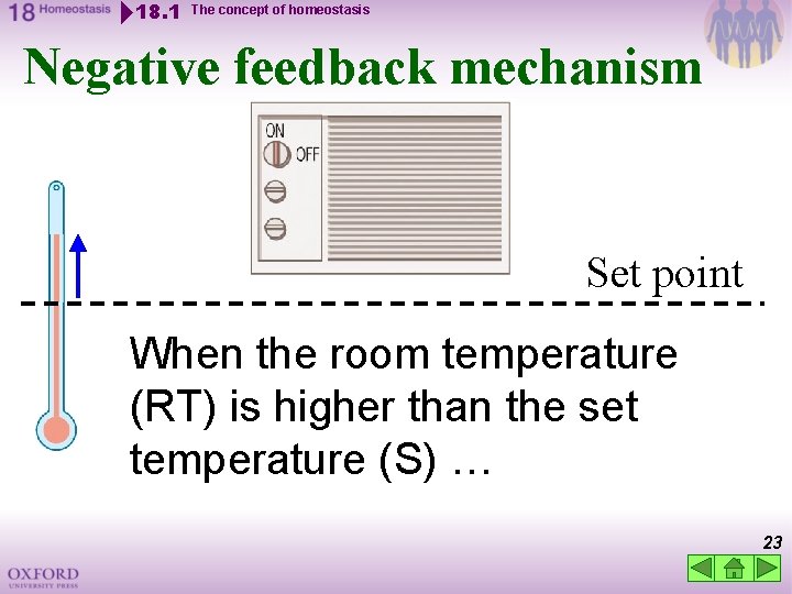 18. 1 The concept of homeostasis Negative feedback mechanism Set point When the room