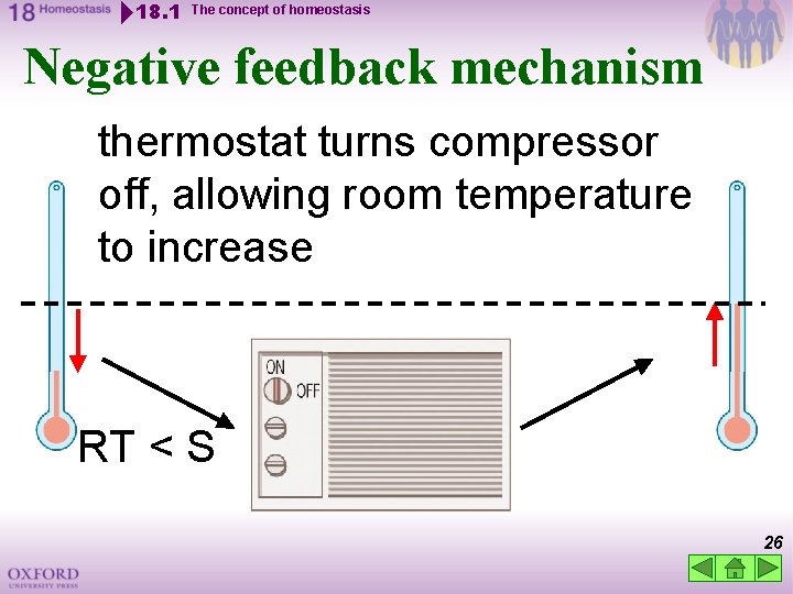 18. 1 The concept of homeostasis Negative feedback mechanism thermostat turns compressor off, allowing