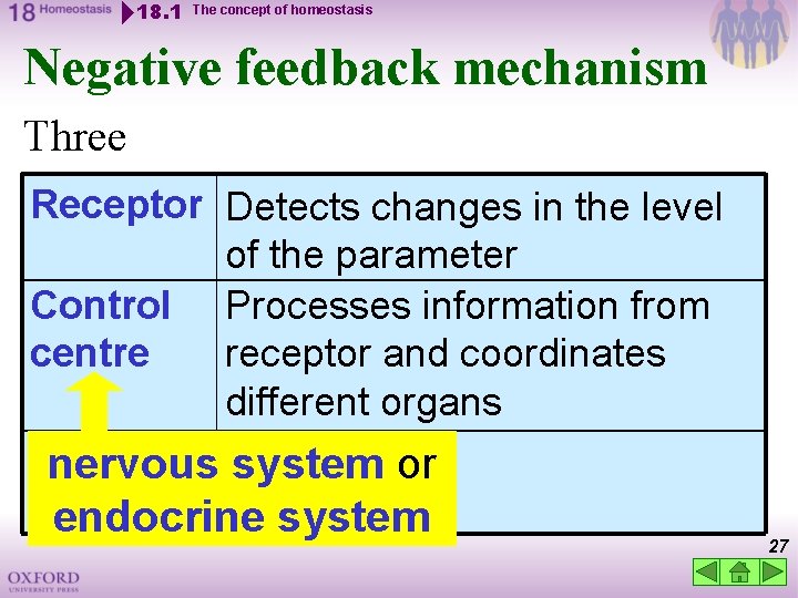 18. 1 The concept of homeostasis Negative feedback mechanism Three components: Receptor Detects changes