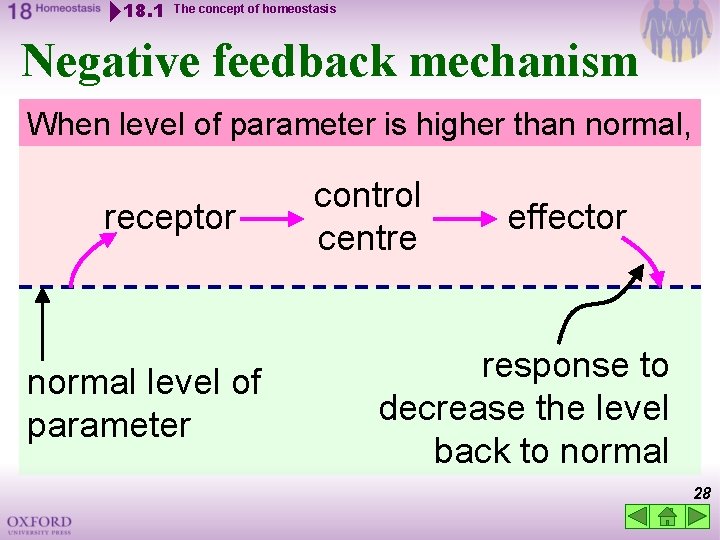 18. 1 The concept of homeostasis Negative feedback mechanism When level of parameter is