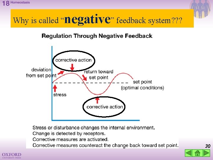 Why is called “negative” feedback system? ? ? 30 