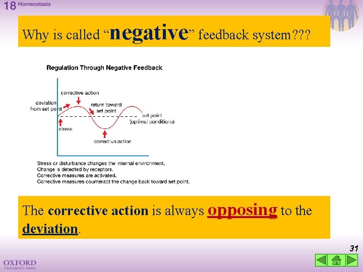 Why is called “negative” feedback system? ? ? The corrective action is always opposing