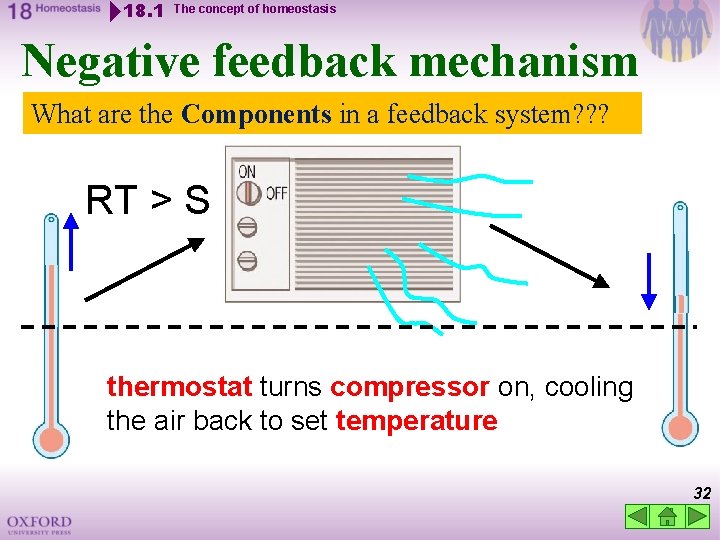 18. 1 The concept of homeostasis Negative feedback mechanism What are the Components in