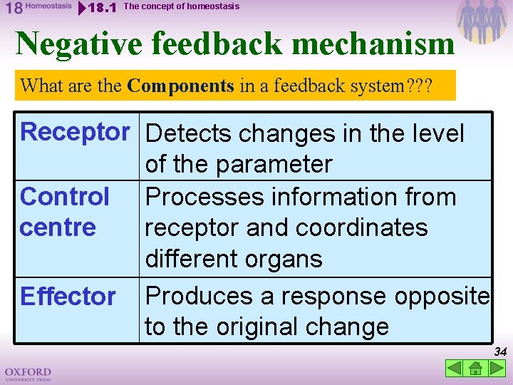 18. 1 The concept of homeostasis Negative feedback mechanism What are the Components in