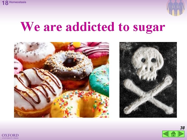 We are addicted to sugar 38 
