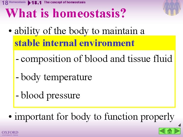 18. 1 The concept of homeostasis What is homeostasis? • ability of the body