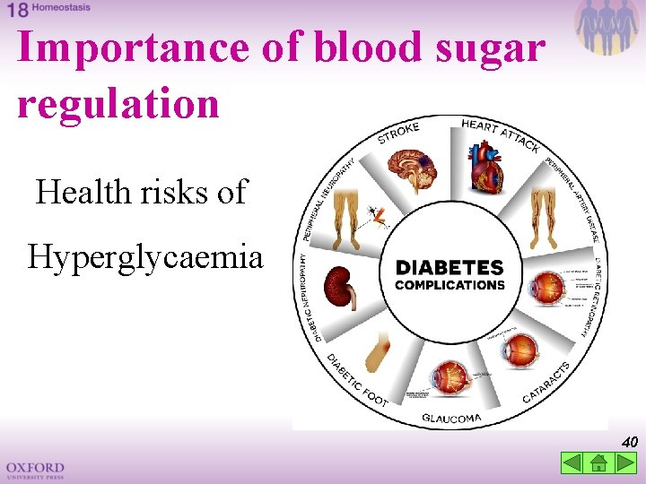 Importance of blood sugar regulation Health risks of Hyperglycaemia 40 