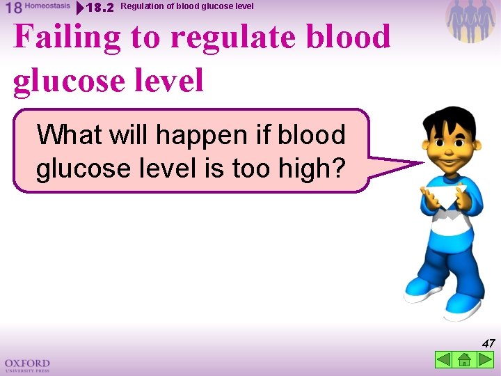 18. 2 Regulation of blood glucose level Failing to regulate blood glucose level What