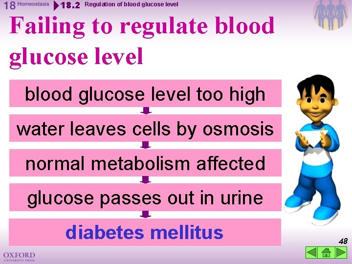 18. 2 Regulation of blood glucose level Failing to regulate blood glucose level too