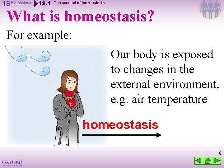 18. 1 The concept of homeostasis What is homeostasis? For example: Our body is