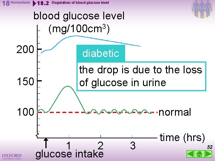 18. 2 Regulation of blood glucose level (mg/100 cm 3) 200 diabetic 150 the