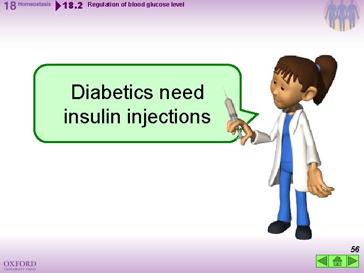 18. 2 Regulation of blood glucose level Diabetics need insulin injections 56 