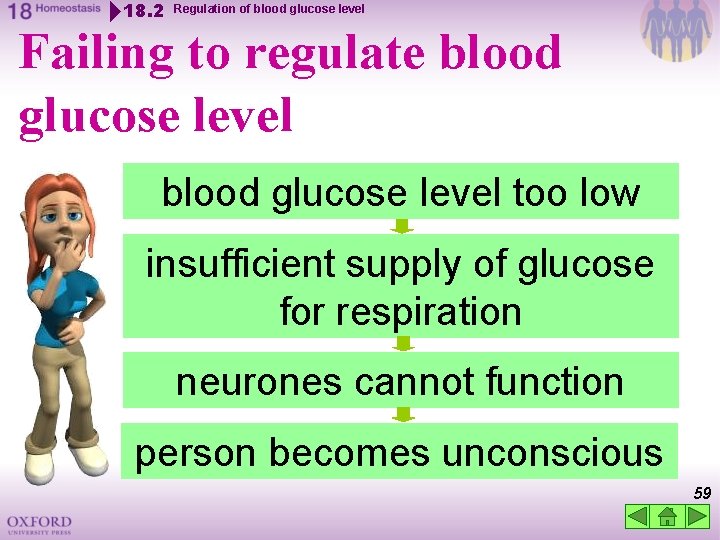 18. 2 Regulation of blood glucose level Failing to regulate blood glucose level too