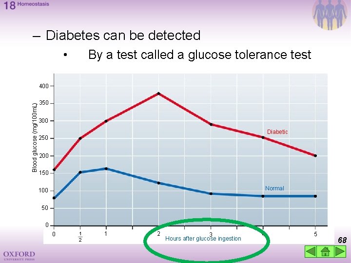 – Diabetes can be detected • By a test called a glucose tolerance test