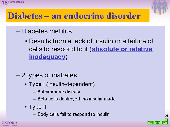 Diabetes – an endocrine disorder – Diabetes mellitus • Results from a lack of