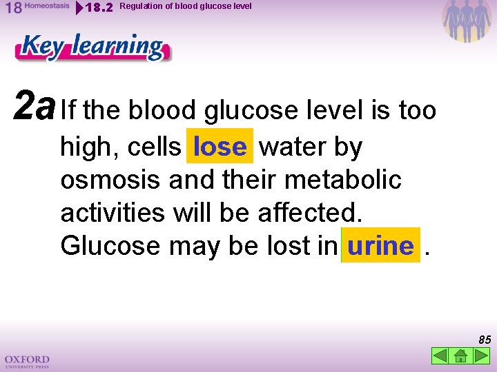 18. 2 Regulation of blood glucose level 2 a If the blood glucose level