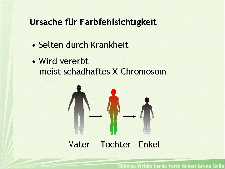 Ursache für Farbfehlsichtigkeit • Selten durch Krankheit • Wird vererbt meist schadhaftes X-Chromosom Vater