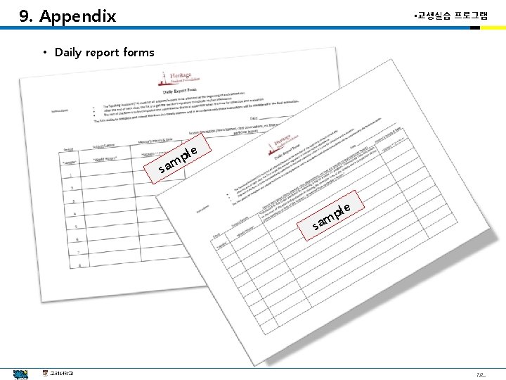 9. Appendix • 교생실습 프로그램 • Daily report forms le p am s le