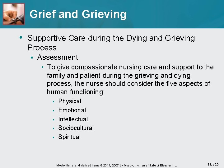 Grief and Grieving • Supportive Care during the Dying and Grieving Process § Assessment