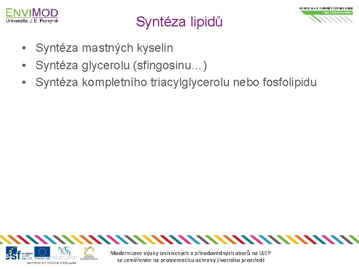 Syntéza lipidů • Syntéza mastných kyselin • Syntéza glycerolu (sfingosinu…) • Syntéza kompletního triacylglycerolu