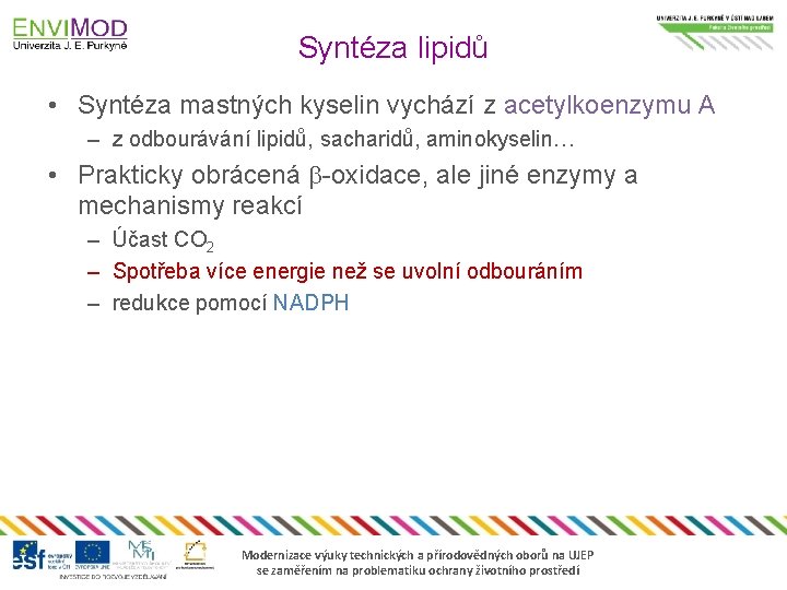 Syntéza lipidů • Syntéza mastných kyselin vychází z acetylkoenzymu A – z odbourávání lipidů,
