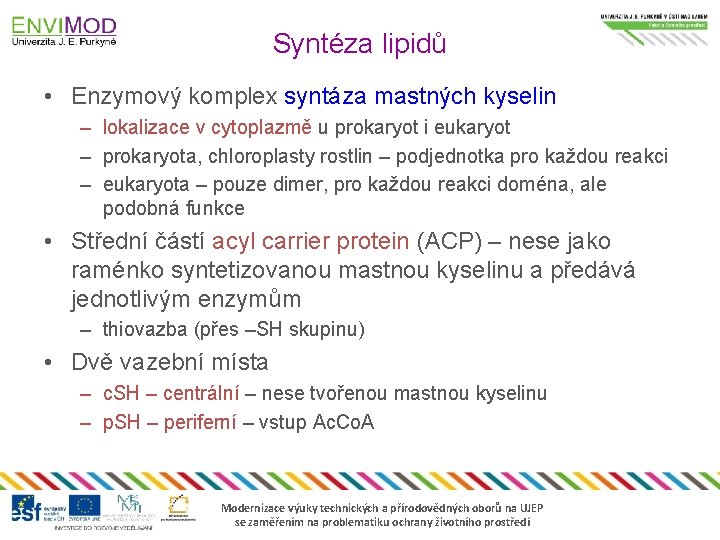 Syntéza lipidů • Enzymový komplex syntáza mastných kyselin – lokalizace v cytoplazmě u prokaryot