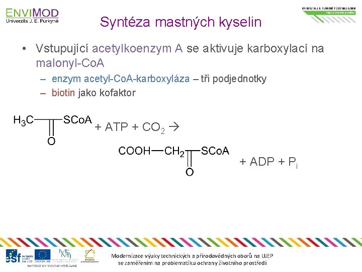 Syntéza mastných kyselin • Vstupující acetylkoenzym A se aktivuje karboxylací na malonyl-Co. A –