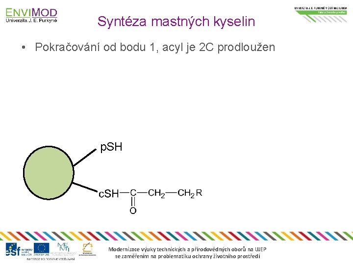 Syntéza mastných kyselin • Pokračování od bodu 1, acyl je 2 C prodloužen p.