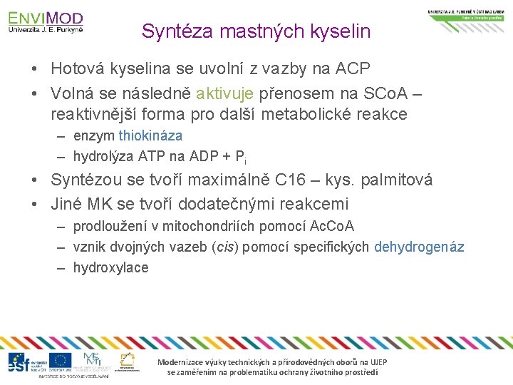 Syntéza mastných kyselin • Hotová kyselina se uvolní z vazby na ACP • Volná