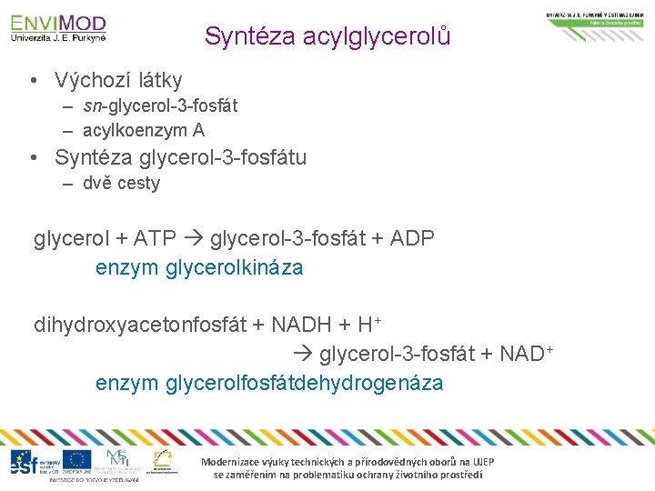 Syntéza acylglycerolů • Výchozí látky – sn-glycerol-3 -fosfát – acylkoenzym A • Syntéza glycerol-3