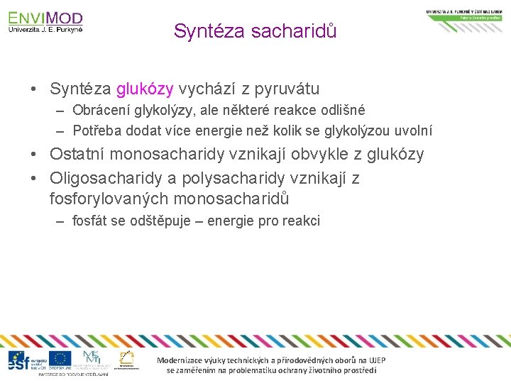 Syntéza sacharidů • Syntéza glukózy vychází z pyruvátu – Obrácení glykolýzy, ale některé reakce