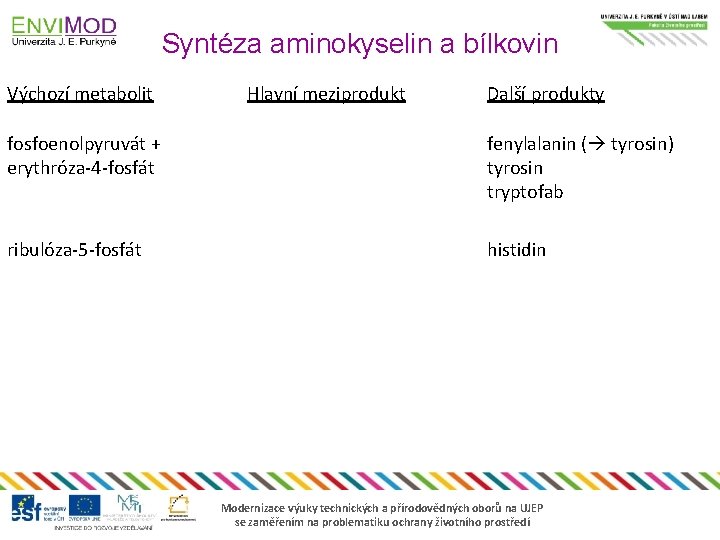 Syntéza aminokyselin a bílkovin Výchozí metabolit Hlavní meziprodukt Další produkty fosfoenolpyruvát + erythróza-4 -fosfát