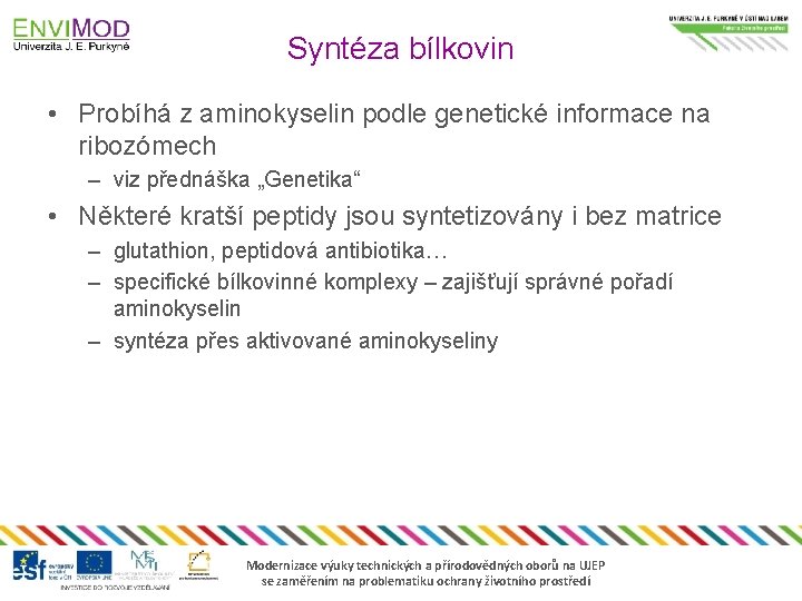 Syntéza bílkovin • Probíhá z aminokyselin podle genetické informace na ribozómech – viz přednáška