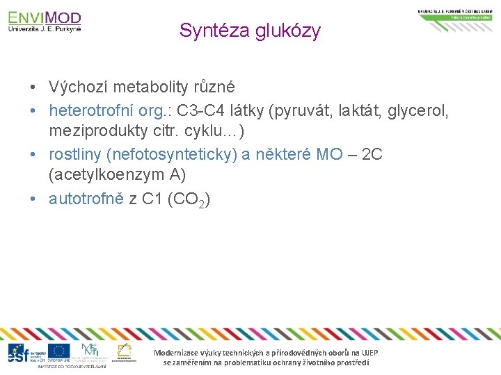 Syntéza glukózy • Výchozí metabolity různé • heterotrofní org. : C 3 -C 4
