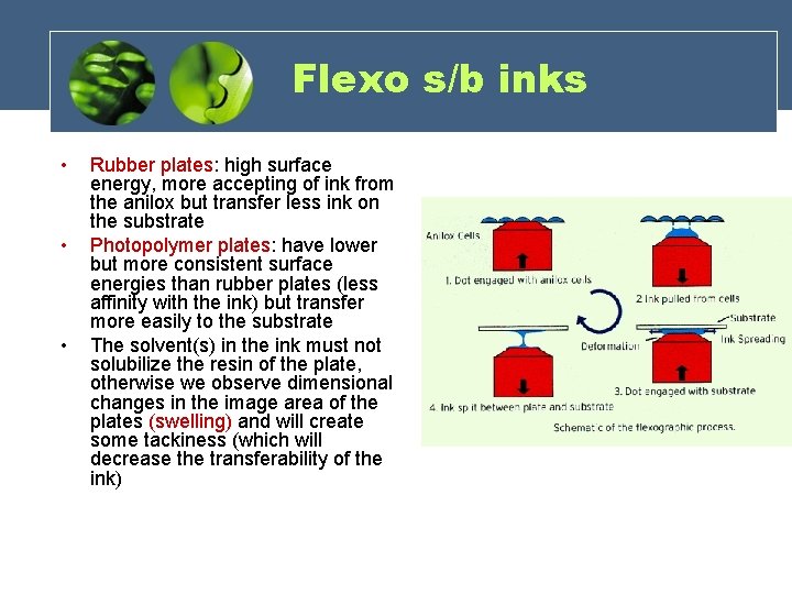 Flexo s/b inks • • • Rubber plates: high surface energy, more accepting of Flexo s/b inks • • • Rubber plates: high surface energy, more accepting of