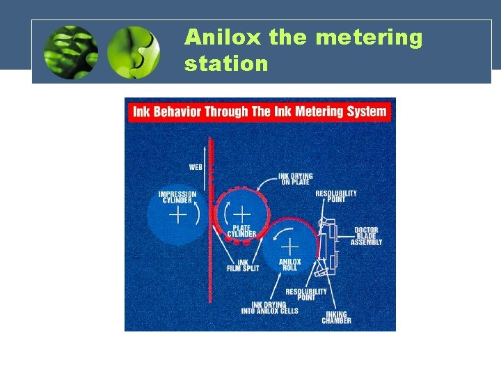 Anilox the metering station Anilox the metering station