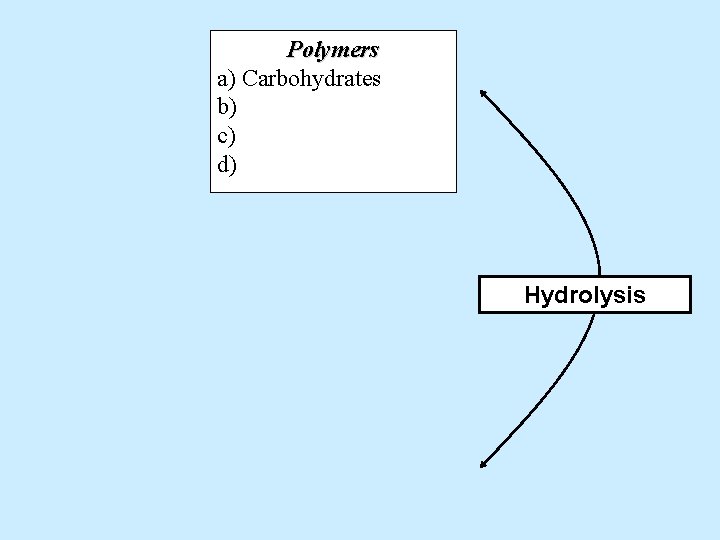 Polymers a) Carbohydrates b) c) d) Hydrolysis 
