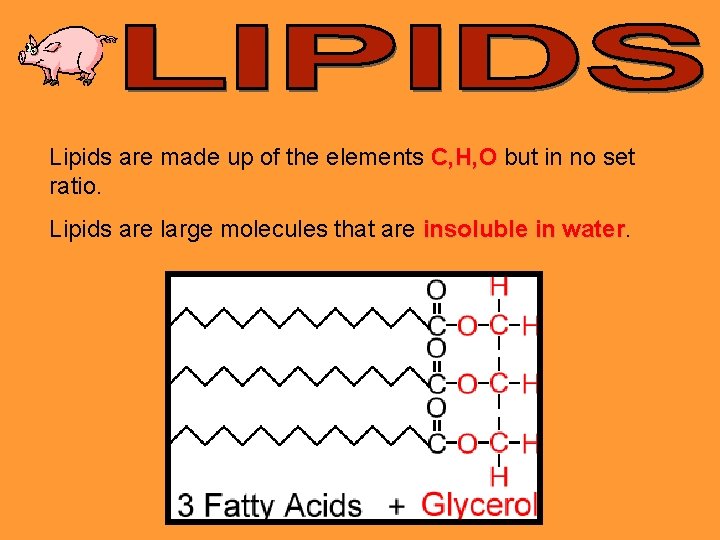 Lipids are made up of the elements C, H, O but in no set