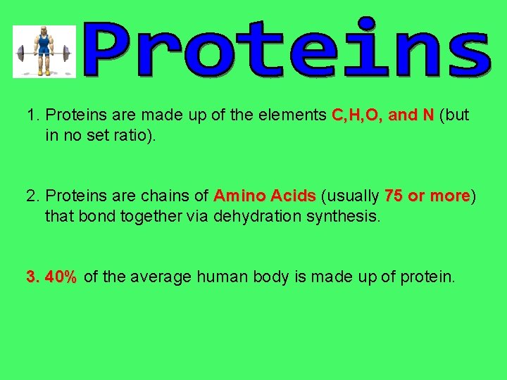 1. Proteins are made up of the elements C, H, O, and N (but