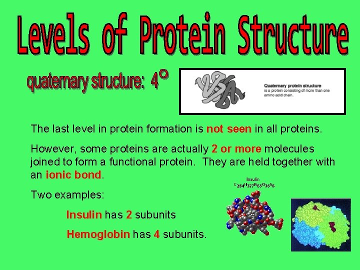 The last level in protein formation is not seen in all proteins. However, some