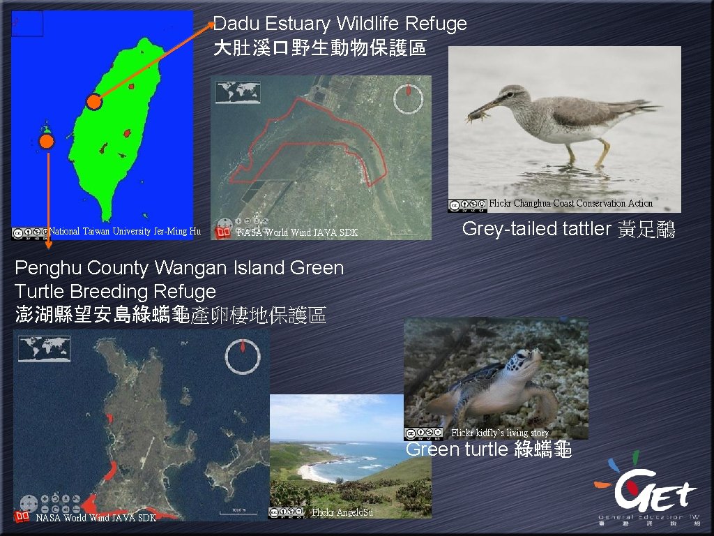 Dadu Estuary Wildlife Refuge 大肚溪口野生動物保護區 Flickr Changhua Coast Conservation Action National Taiwan University Jer-Ming