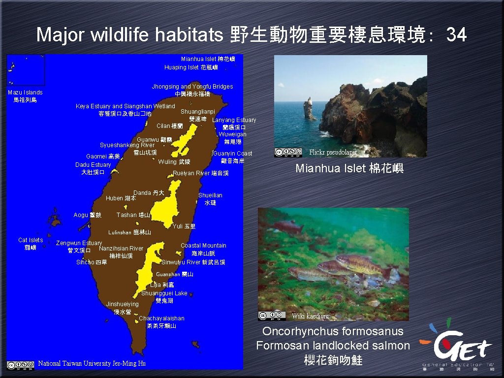 Major wildlife habitats 野生動物重要棲息環境： 34 Mianhua Islet 棉花嶼 Huaping Islet 花瓶嶼 Jhongsing and Yongfu