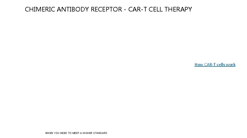 CHIMERIC ANTIBODY RECEPTOR - CAR-T CELL THERAPY How CAR-T cells work WHEN YOU NEED